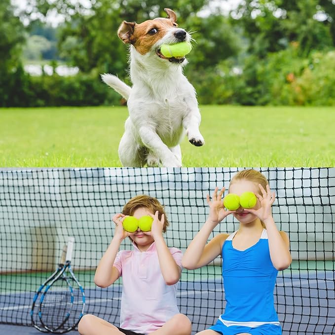 Vinsot 48 Pcs Standard Pressure Tennis Balls Bulk, Training Tennis Balls Practice Playing Balls for Player Beginner Youth Training Sports Ball, 2.5 Inch