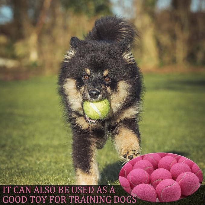 Swingers 20 Pack Training Tennis Balls, High Elasticity Practice Balls for Beginner, with Mesh Carry Bag