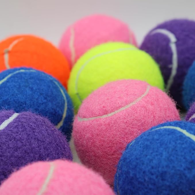 Swingers 20 Pack Training Tennis Balls, High Elasticity Practice Balls for Beginner, with Mesh Carry Bag
