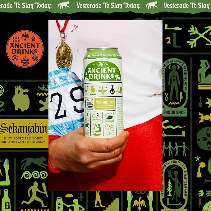 ANCIENT DRINKS Apple Cider Vinegar Beverage with Electrolytes, Vitamins, & Probiotics, Organic, Super-Hydrating Sports Drink - Sekanjabin (Mint & Chili) - 16 fl oz (12 cans)