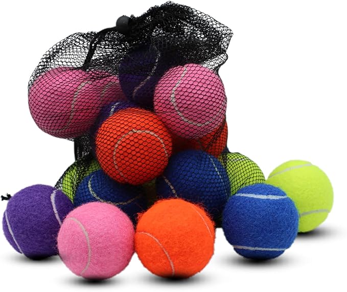 Swingers 20 Pack Training Tennis Balls, High Elasticity Practice Balls for Beginner, with Mesh Carry Bag
