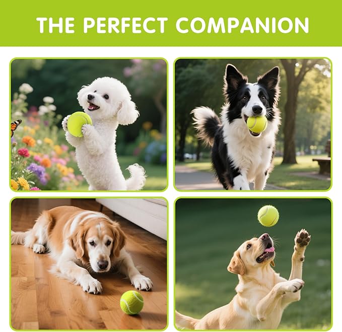 PHOEPET 6-Pack Tennis Balls for Beginner Training Practice- Bulk Dog Balls for Fetch Chew Toys(Yellow)