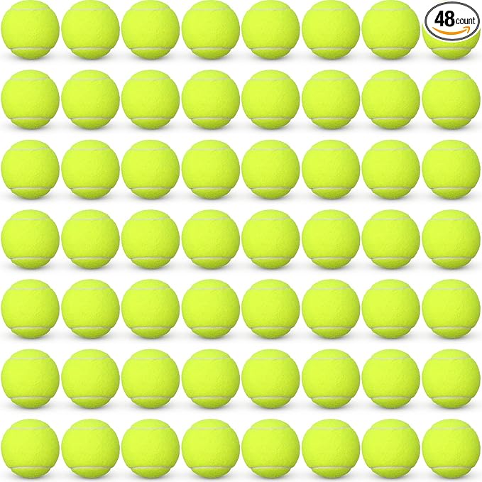 Vinsot 48 Pcs Standard Pressure Tennis Balls Bulk, Training Tennis Balls Practice Playing Balls for Player Beginner Youth Training Sports Ball, 2.5 Inch