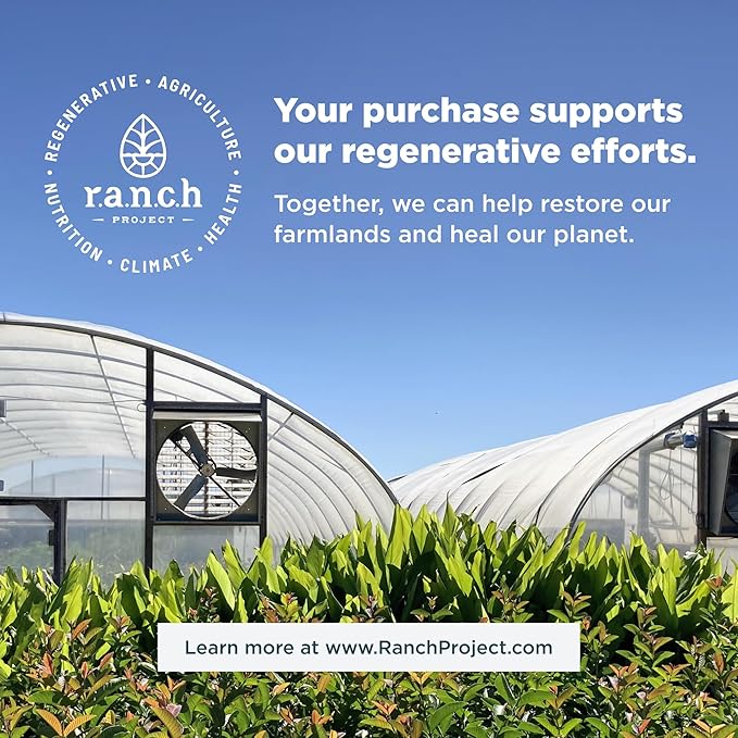 Ancient Nutrition Supergreens Powder, Organic Superfood Powder with Collagen, Made from Real Fruits, Vegetables and Herbs, for Digestive and Energy Support, 25 Servings, 7.5oz