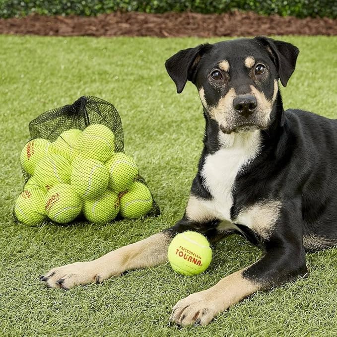 Tourna Pressurless Tennis Balls Box of 144