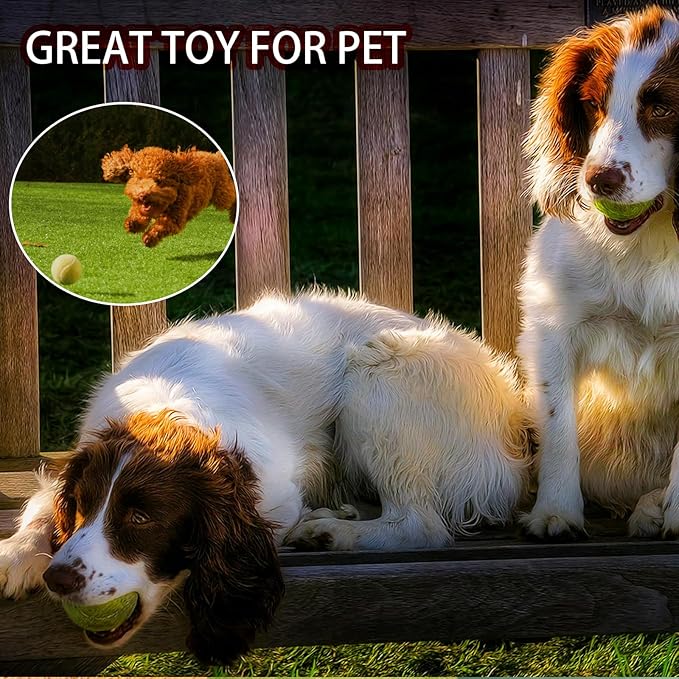 Tennis Balls, 40 Pack Training Tennis Balls,High Elasticity Practice Tennis for Beginner, Exercise Playing Balls for Pet Dog