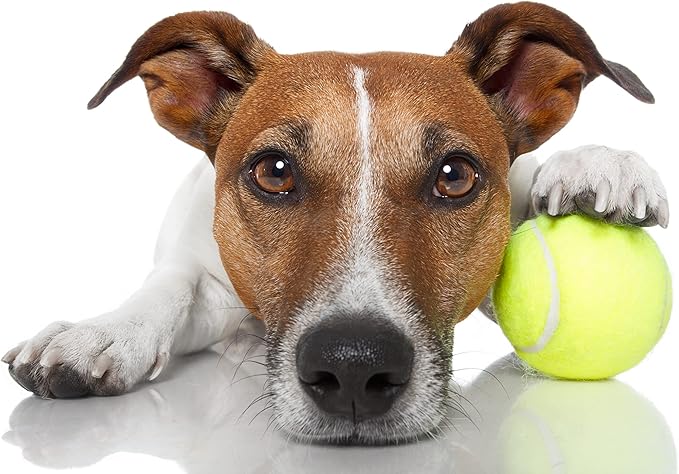 VIV Advanced Tennis Balls Bulk, 30/50/100 + Practice Pressure Ball Bouncing 53in High Durable; Official Size 2.5 in Pet Dog Balls; Tougher Tennis Ball for Dogs, Tennis Ball Training Machine, Walkers
