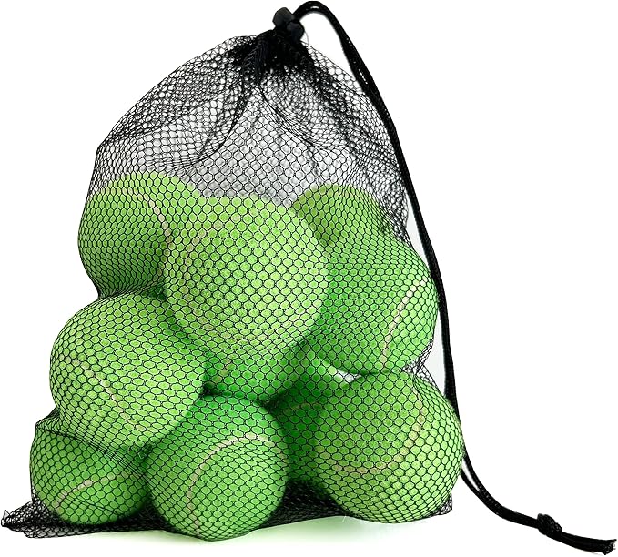 Tennis Balls, 12 Packs Practice Tennis Balls for Beginner, Training Playing Tennis Balls for Dogs, Come with Mesh Carry Bag