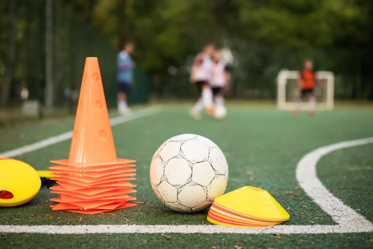 Agility Cones & Markers
