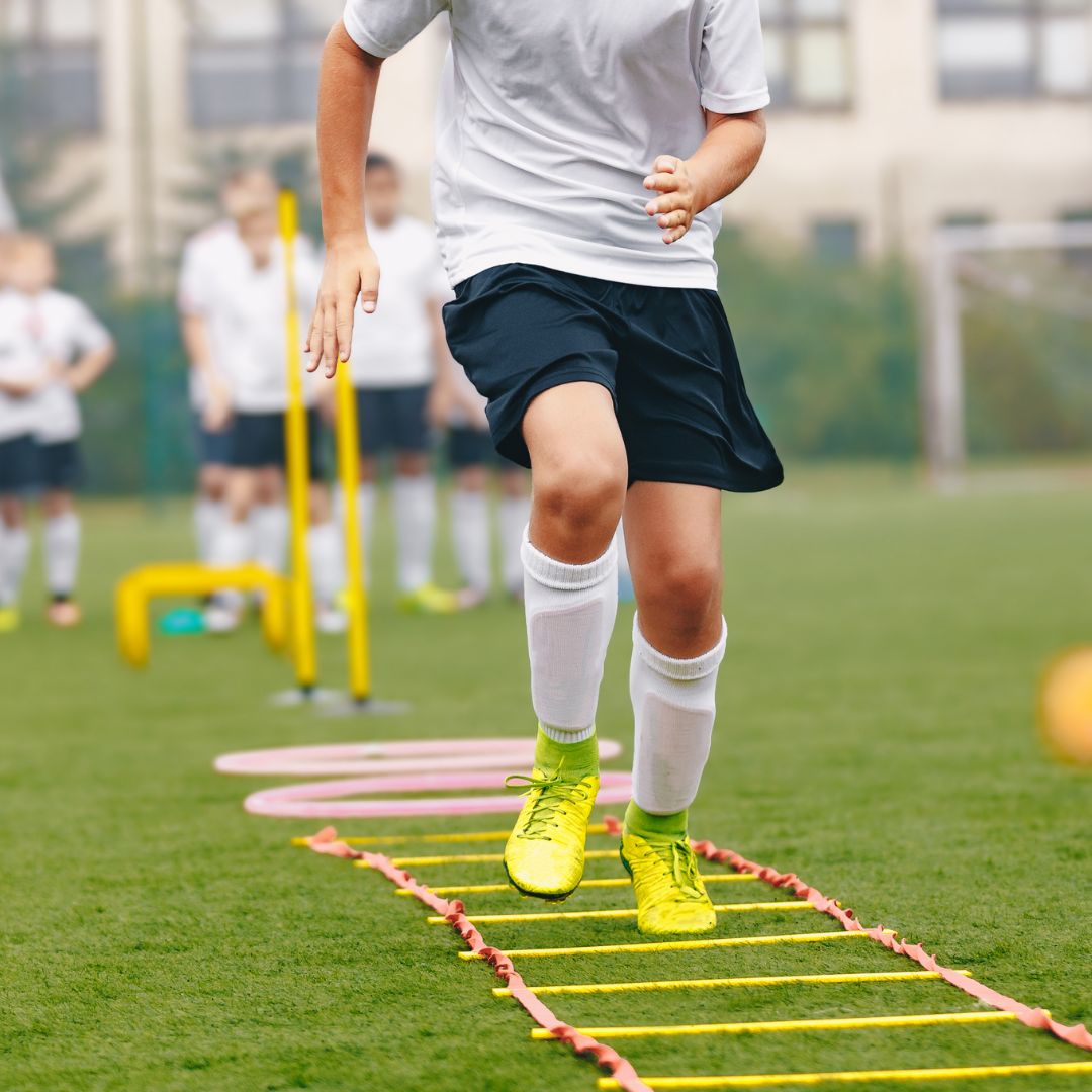 Agility Equipment