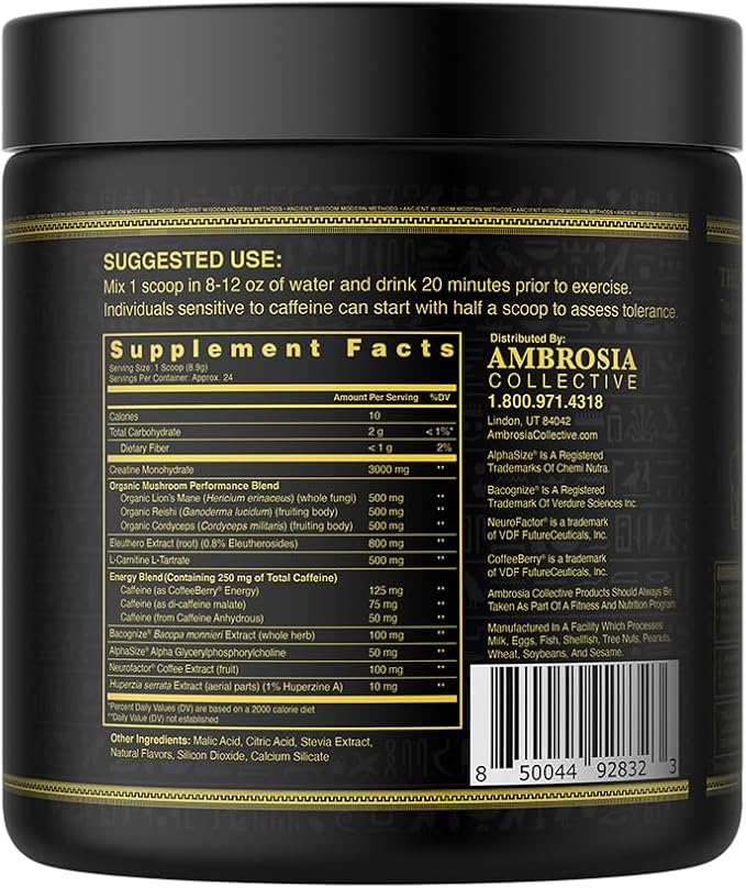 Ambrosia Kinetic Organic Preworkout, Mushroom Enhanced Natural Pre Workout Supplement, Nootropic Superfood Powder for Energy (Tropical Lime)