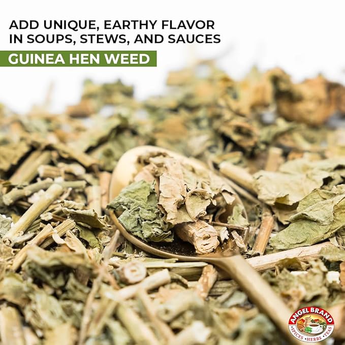 Angel Brand Guinea Hen leaves Tea – 0.5 oz Pouch Pack of 3 Sourced From Lush Tropics, Discover Potent & Versatile Qualities of Our Premium Anamu Plant - Famous for Its Health Benefits