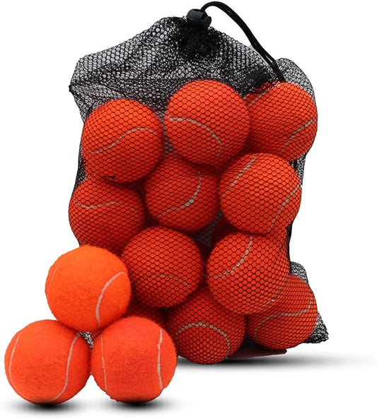 Swingers 20 Pack Training Tennis Balls, High Elasticity Practice Balls for Beginner, with Mesh Carry Bag