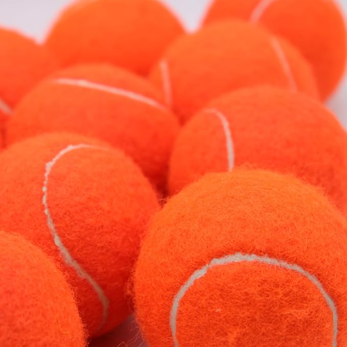 Swingers 20 Pack Training Tennis Balls, High Elasticity Practice Balls for Beginner, with Mesh Carry Bag