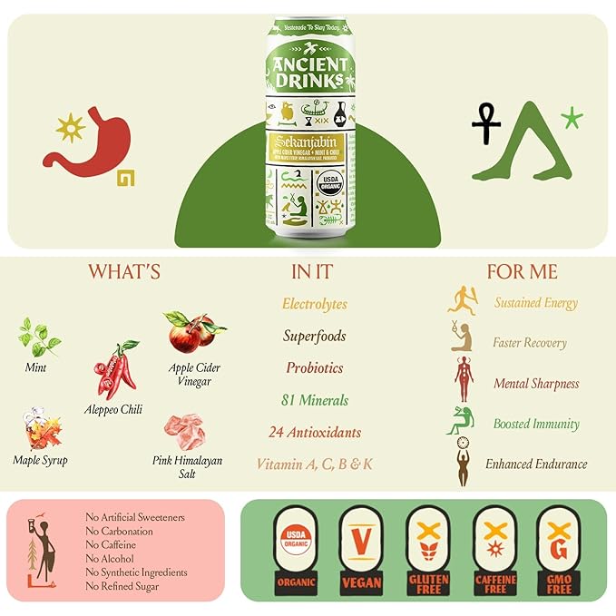 ANCIENT DRINKS Apple Cider Vinegar Beverage with Electrolytes, Vitamins, & Probiotics, Organic, Super-Hydrating Sports Drink - Sekanjabin (Mint & Chili) - 16 fl oz (12 cans)