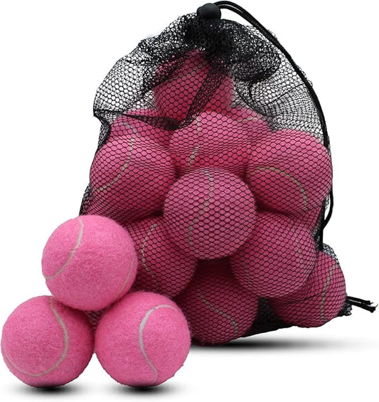 Swingers 20 Pack Training Tennis Balls, High Elasticity Practice Balls for Beginner, with Mesh Carry Bag