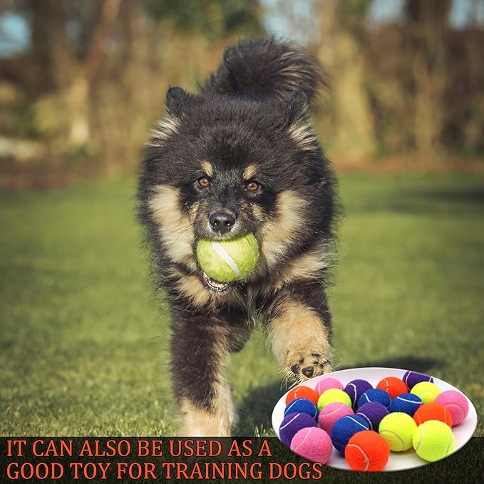 Swingers 20 Pack Training Tennis Balls, High Elasticity Practice Balls for Beginner, with Mesh Carry Bag