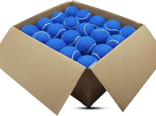 Tennis Balls, 40 Pack Training Tennis Balls,High Elasticity Practice Tennis for Beginner, Exercise Playing Balls for Pet Dog