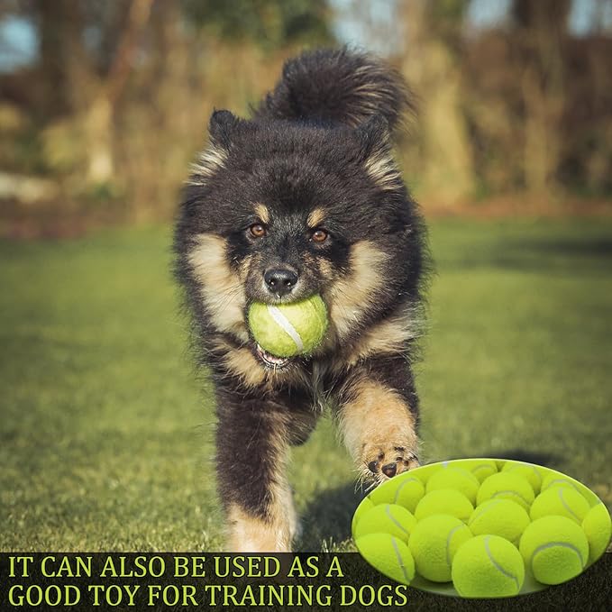 Swingers 20 Pack Training Tennis Balls, High Elasticity Practice Balls for Beginner, with Mesh Carry Bag