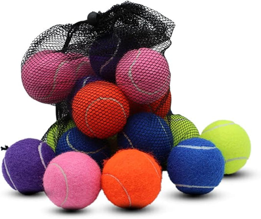 Swingers 20 Pack Training Tennis Balls, High Elasticity Practice Balls for Beginner, with Mesh Carry Bag