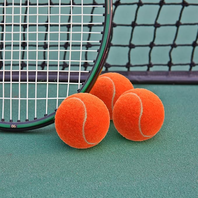 Tebery 20 Pack Advanced Training Tennis Balls Beginner Practice Ball, Pet Dog Playing Balls, Come with Mesh Bag for Easy Transport