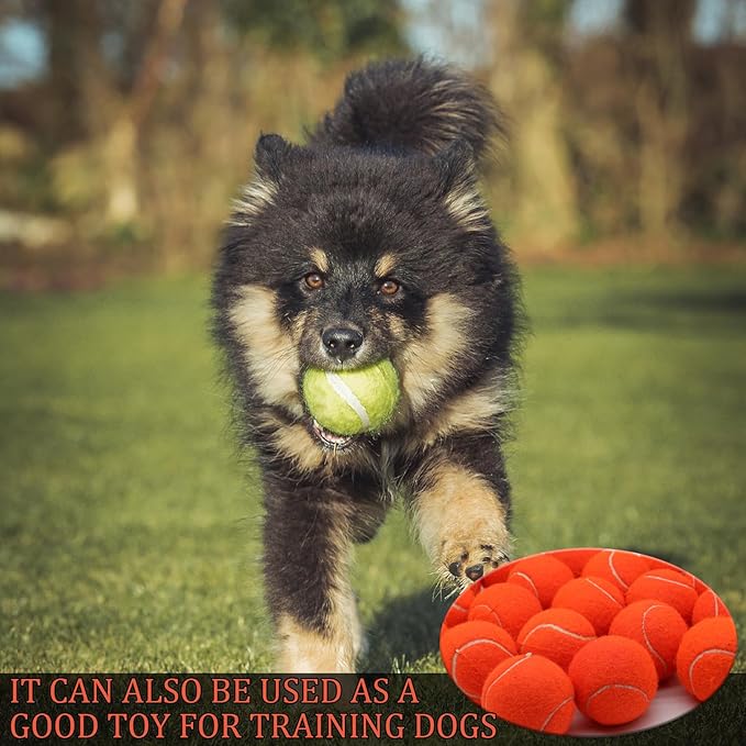 Swingers 20 Pack Training Tennis Balls, High Elasticity Practice Balls for Beginner, with Mesh Carry Bag