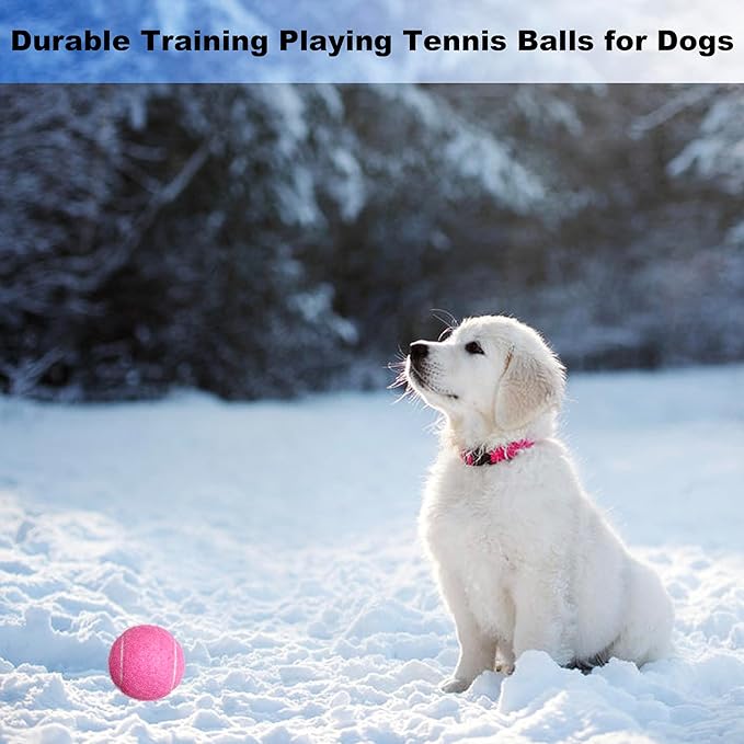 Tennis Balls, 12 Packs Practice Tennis Balls for Beginner, Training Playing Tennis Balls for Dogs, Come with Mesh Carry Bag