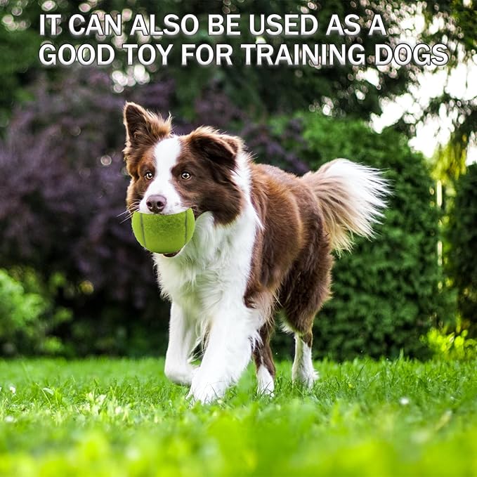 Tennis Balls, 6 Pack Training Tennis Balls,High Elasticity Practice Balls for Beginner, Playing Balls for Dogs