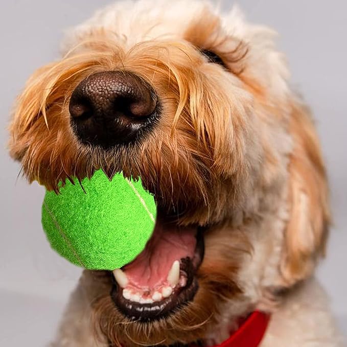 Tennis Balls, 12 Packs Practice Tennis Balls for Beginner, Training Playing Tennis Balls for Dogs, Come with Mesh Carry Bag