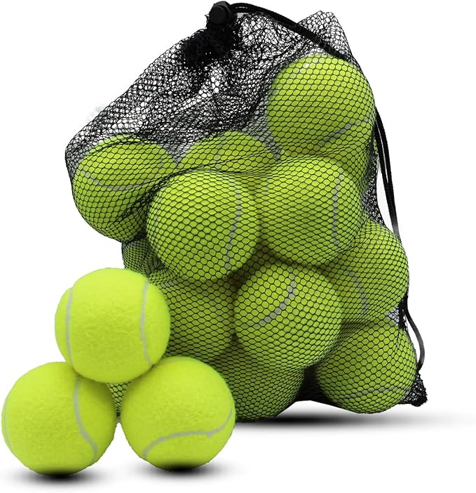 Swingers 20 Pack Training Tennis Balls, High Elasticity Practice Balls for Beginner, with Mesh Carry Bag