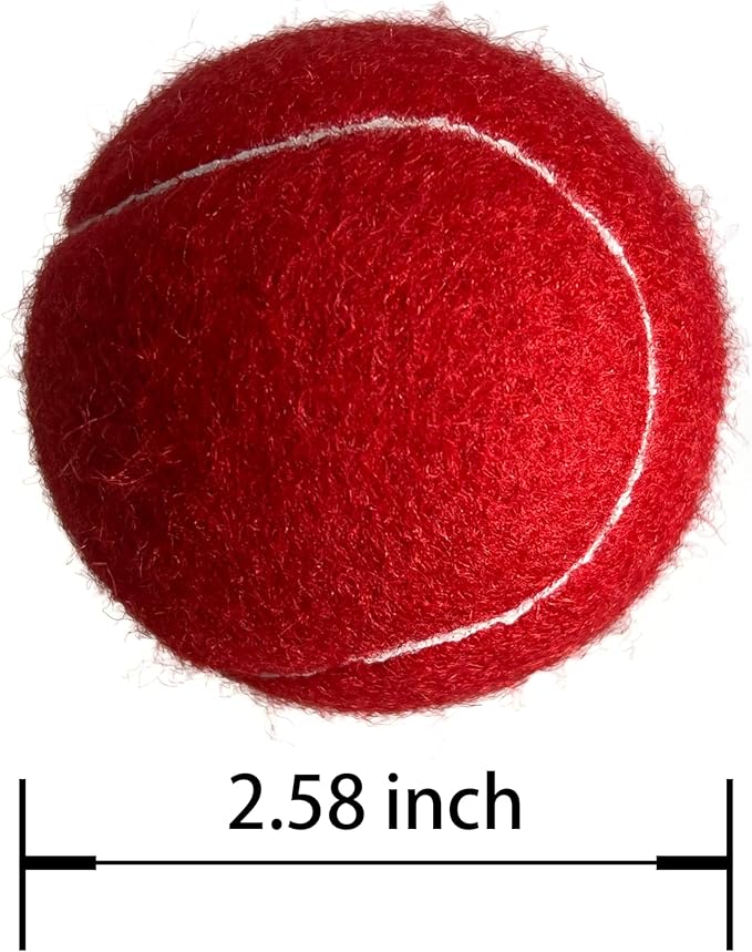 Tennis Balls, 12 Packs Practice Tennis Balls for Beginner, Training Playing Tennis Balls for Dogs, Come with Mesh Carry Bag