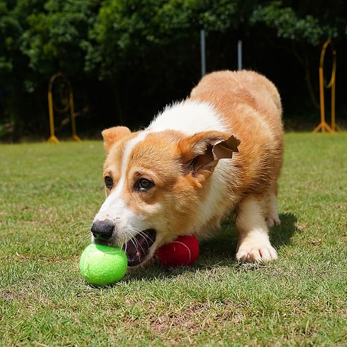 GKK 27 Pack Tennis Balls,Training Tennis Ball Pressure-less Practising Bulk Tennis Balls for Youth/Beginners/Pet Dogs High Altitude Playing Balls