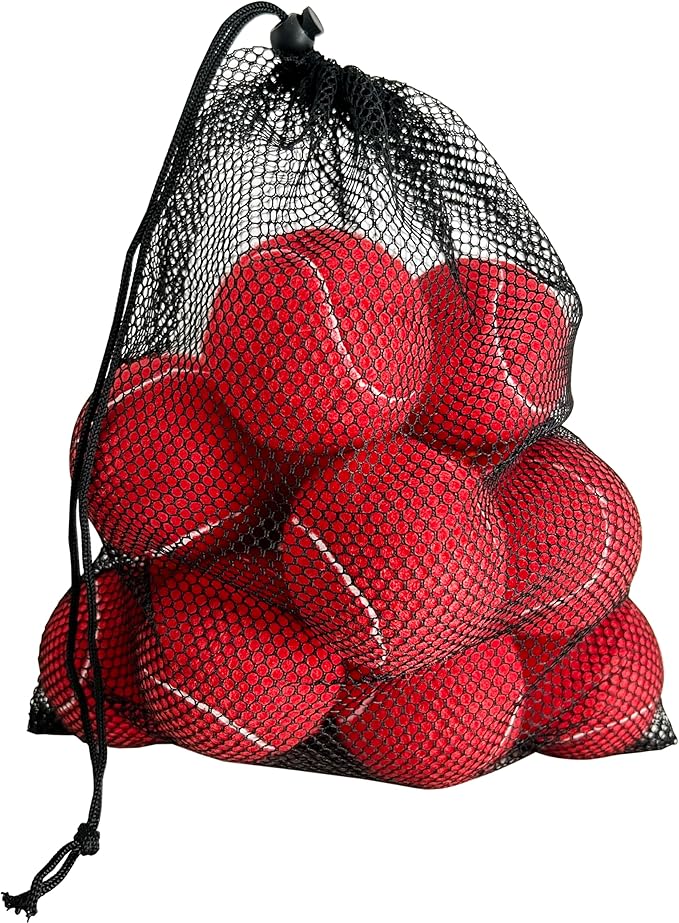 Tennis Balls, 12 Packs Practice Tennis Balls for Beginner, Training Playing Tennis Balls for Dogs, Come with Mesh Carry Bag