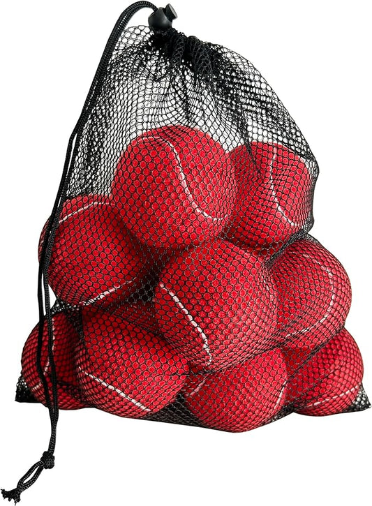 Tennis Balls, 12 Packs Practice Tennis Balls for Beginner, Training Playing Tennis Balls for Dogs, Come with Mesh Carry Bag
