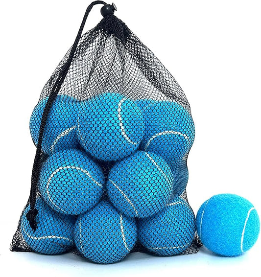 Tennis Balls, 12 Packs Practice Tennis Balls for Beginner, Training Playing Tennis Balls for Dogs, Come with Mesh Carry Bag